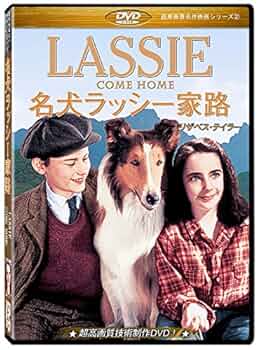 名犬ラッシー / ラッシーの息子 [DVD] wwzq1cm 名犬ラッシー / ラッシーの息子 [DVD] wwzq1cm Amazon.co.jp